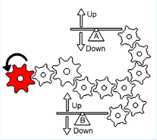 Elevator Aptitude Test (EIAT) - Free Mechanical Reasoning Sample Gears Sample Question